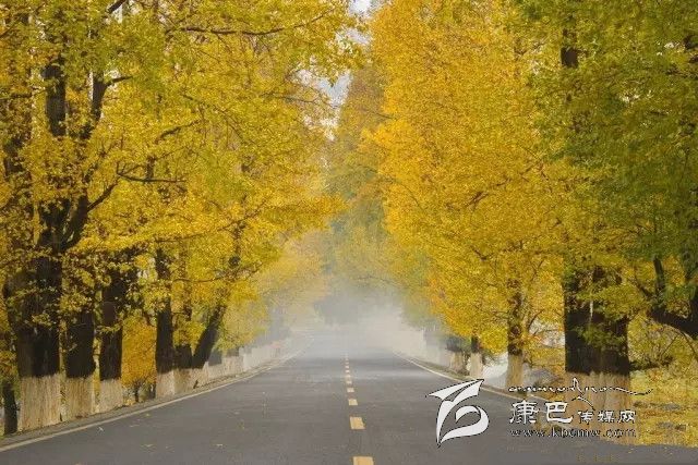 康定新都橋，有一條黃金大道通往夢中的天堂