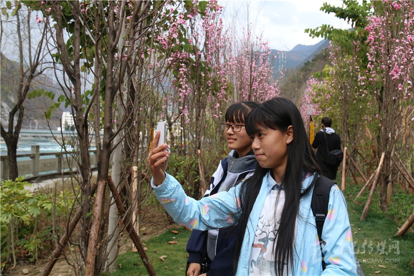 春光俏！“醉”是瀘定春三月，踏青賞花正當(dāng)時(shí)
