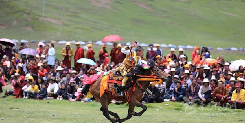 格?；ㄊ㈤_ 牧民馬背上一顯身手