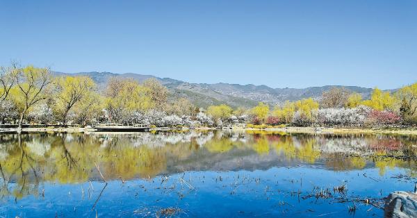 2022年全國(guó)森林.jpg 2022年全國(guó)森林.jpg