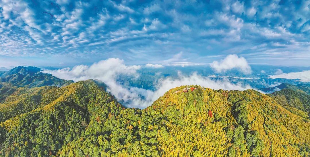 　三明森林生態(tài)環(huán)境優(yōu)美。